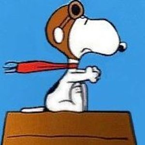 Meet your Posher, Jeff